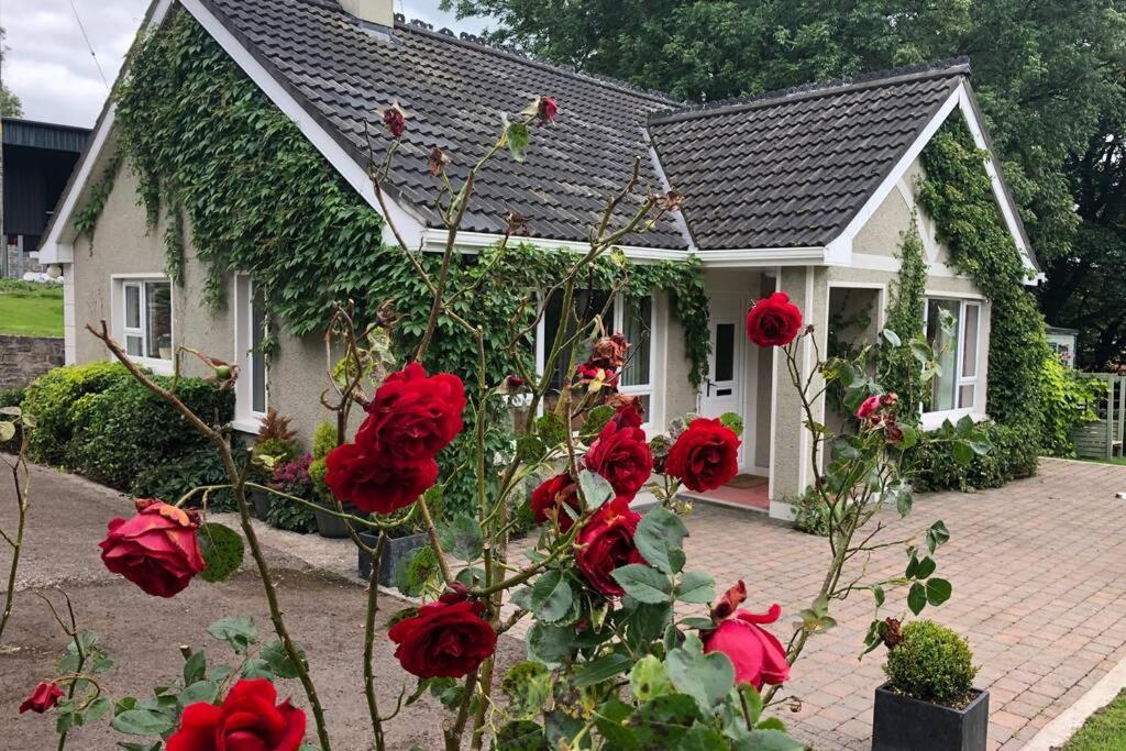 אניסקילן Rhubarb Cottage מראה חיצוני תמונה